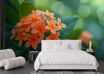 orange ixora flower  in nature  Wall mural