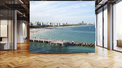 Miami Beach Coastline Wall mural