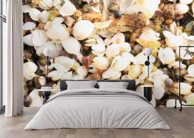 Bunch of white tiny seashells  Wall mural