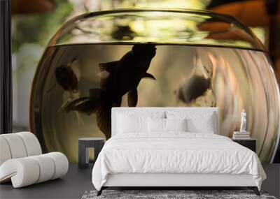 fishbowl Wall mural