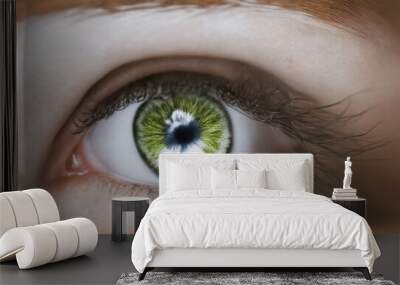 wonderful female eye with green iris in light reflection Wall mural