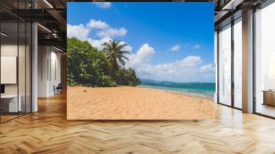 Hidden beach in Puerto Rico with Palm trees and turquoise waters Wall mural