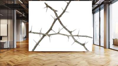 isolated  thorn branch triangle frame on white background , clipping path Wall mural