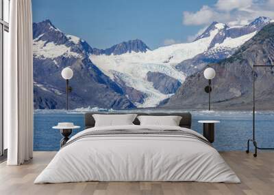 Columbia Glacier Area Wall mural