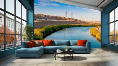 The Colorado River Separating Arizona and California Wall mural