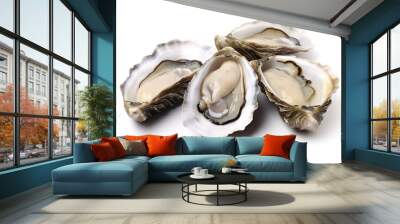 fresh oyster isolated on white background Wall mural