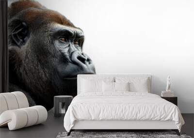 portrait of a gorilla isolated on a white background Wall mural