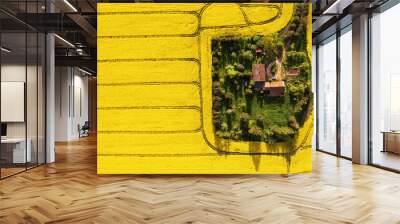 Aerial view of a farm in the middle of the rapeseed field with copy space Wall mural