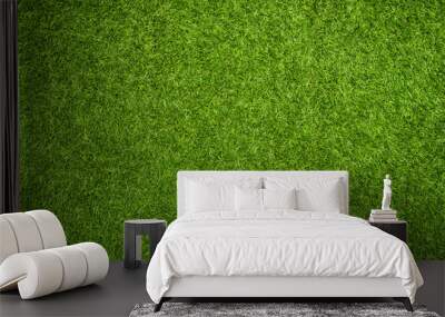 Artificial grass texture Wall mural