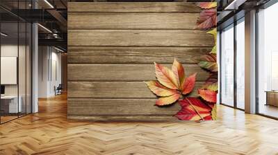 Autumn leaves over wooden background with copy space Wall mural