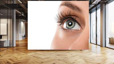 close up of natural female eye isolated on white background Wall mural