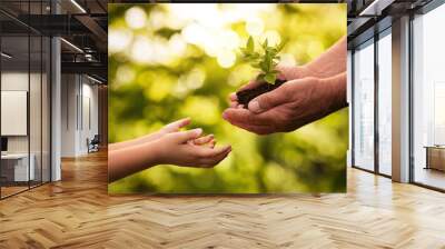 Close up of senior hands giving small plant to a child over defocused green background with copy space Wall mural