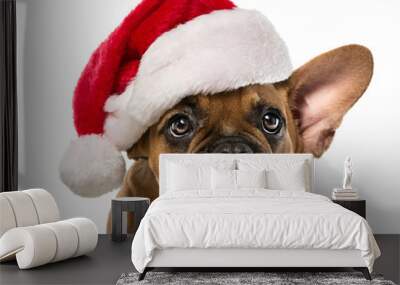 Cute french bulldog with santa claus hat isolated on white background Wall mural