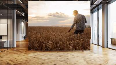 Farmer checking the quality of his wheat field at the sunset with copy space Wall mural