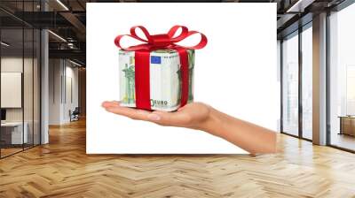 Female hand holding gift made of euro banknotes isol Wall mural