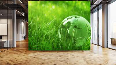 Green glass globe in the grass Wall mural