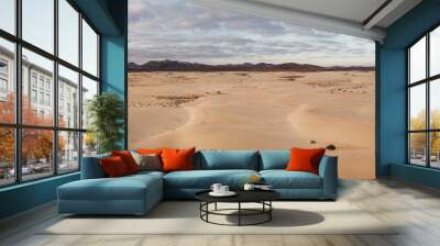 High angle, panoramic view of an empty desert at the sunrise with copy space Wall mural