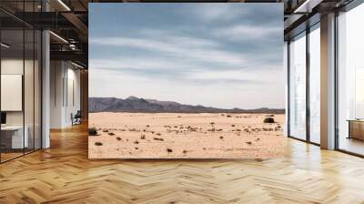 Panoramic empty desert background with copy space Wall mural