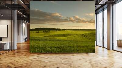 Panoramic view of empty grass field at the sunset with copy space Wall mural