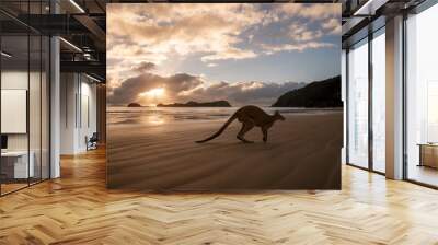 Silhouette of a kangaroo on the beach at the sunrise Wall mural