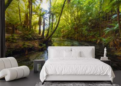 Landscape Scenery of Clean and Clear Water Stream at Hamurana Rotorua, New Zealand Wall mural