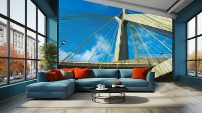 Modern architecture. Modern bridges. Linking two different points. Cable-stayed bridge in the world, Sao Paulo Brazil, South America.  Wall mural