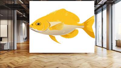 John Dory fish isolated on white Wall mural