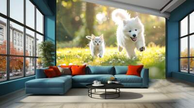 Cute samoyed puppy and small american shorthair kitten running happily in an outdoor park Wall mural