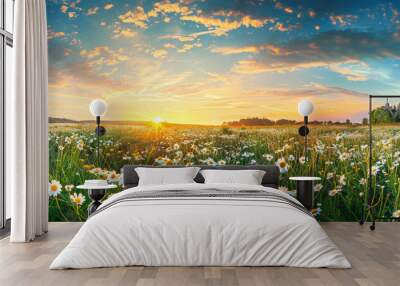 Daisy field with sunset sky, beautiful summer landscape Wall mural