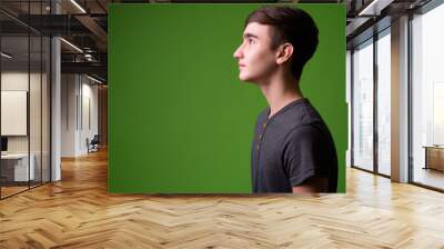 Young handsome Iranian teenage boy against green background Wall mural