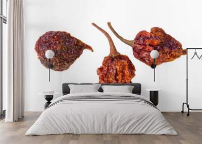 Dried Scorpion Peppers Wall mural