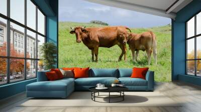 Cow in a green landscape Wall mural