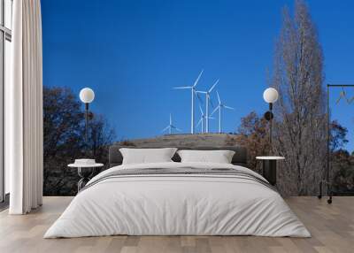 wind turbines in green landscape with blue sky Wall mural