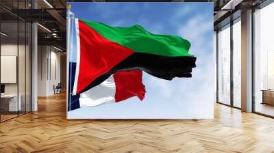 Flag of Martinique waving with national french flag on a clear day Wall mural