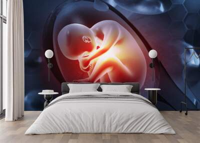 Fetus in womb. 3d illustration.. Wall mural