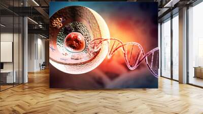 Human cell anatomy. 3d illustration.. Wall mural