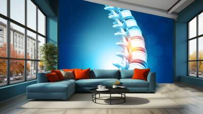 human spine, vertebrae anatomy on science background. 3d illustration Wall mural