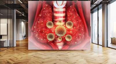 Human thyroid gland anatomy with virus infection. 3d illustration.. Wall mural