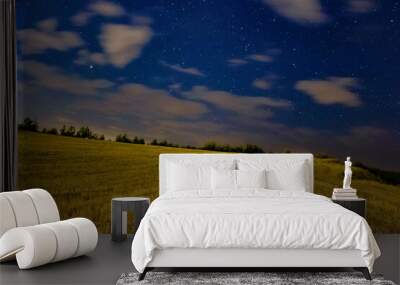 Night of 3 tepeler Wall mural