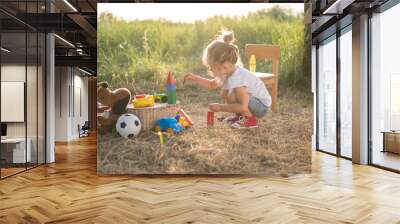 toddler girl playing with toys on nature Wall mural