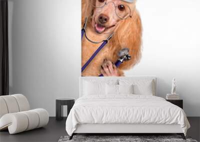 Dog with a first aid kit Wall mural