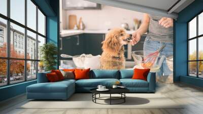 Young woman with her dog is cooking on the kitchen . Concept of cooking. Wall mural