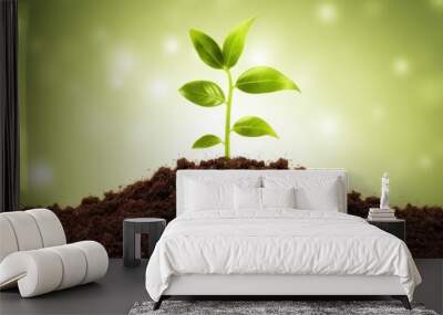 Banner with young plant growing in garden. Seedling are growing in the soil with backdrop of the mourning sunlight. Green world and Earth day concept. Ecology and ecological balance Wall mural