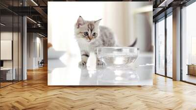 Cat drinks water from a glass bowl. The benefits of water. Pet health. Cute, fluffy and funny kitten. Healthy food and diet for pets. No people. Light modern interior, white kitchen. Ai generative Wall mural