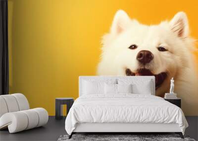 Happy white fluffy dog isolated on bright yellow background. Banner with beautiful smiling pet. Samoyed or husky breed. Space for text, copy space Wall mural