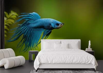 Elegant Betta Fish Showcasing Intricate Tail and Fin Patterns in Electric Blue Hues Wall mural