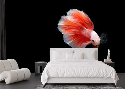 Majestic Betta Fish in Shimmering Coral and Gold Underwater Habitat Wall mural