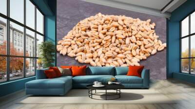 Heap of rye or wheat grains, agricultural concept Wall mural