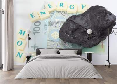 Large coal lump with money on white background Wall mural