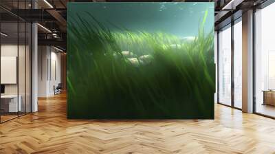 Underwater landscape Green Seaweed reef with algae, sea north, view in the cold sea ecosystem generated by Ai Wall mural